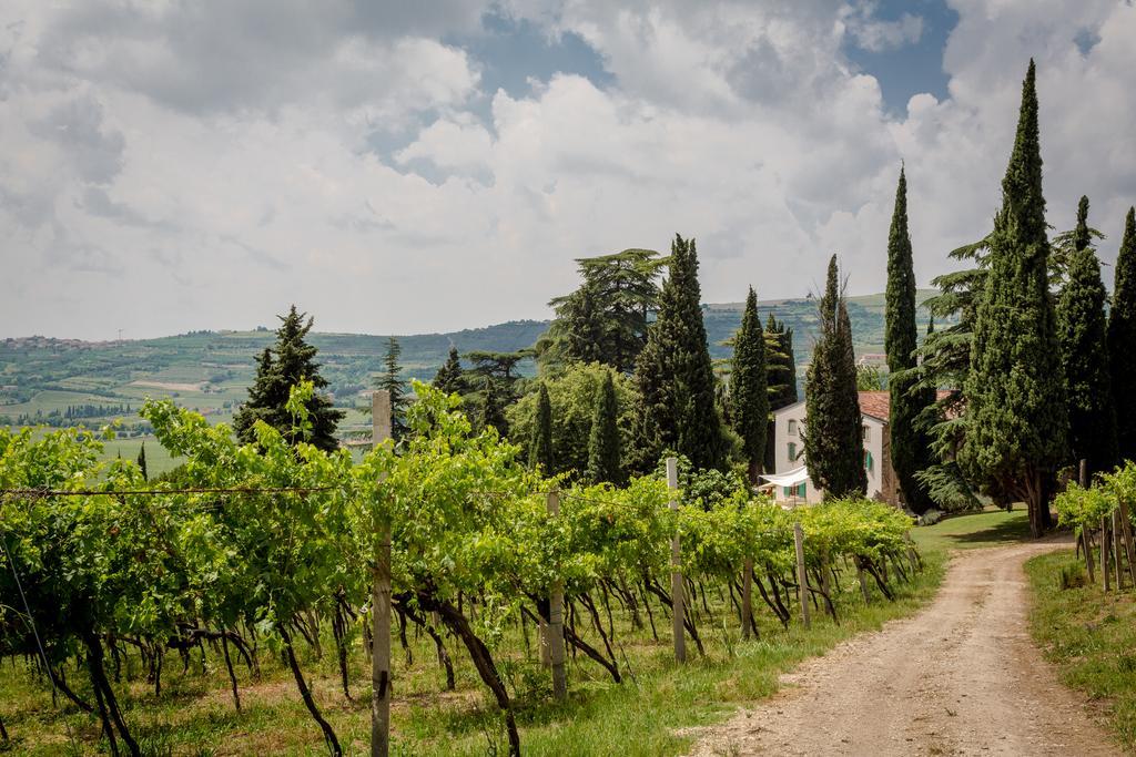 הוילה Mezzane di Sotto Massimago Wine Relais מראה חיצוני תמונה