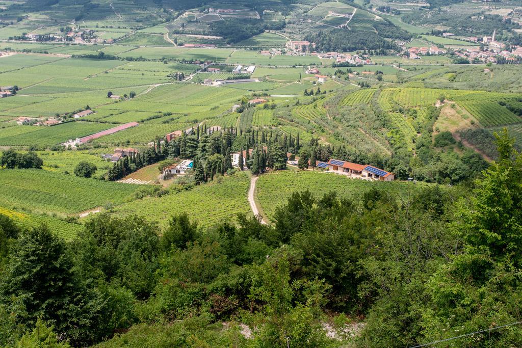 הוילה Mezzane di Sotto Massimago Wine Relais מראה חיצוני תמונה