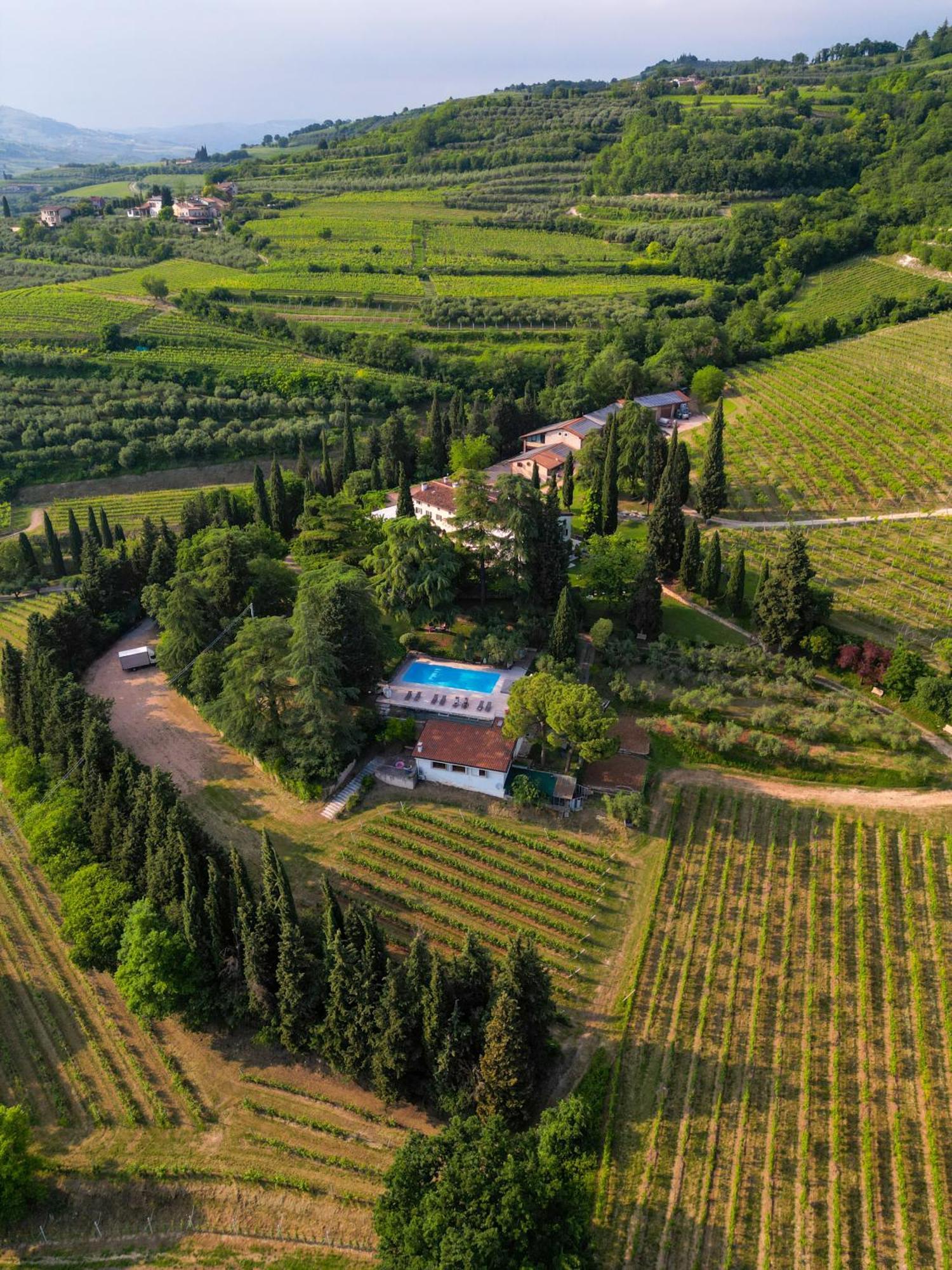 הוילה Mezzane di Sotto Massimago Wine Relais מראה חיצוני תמונה